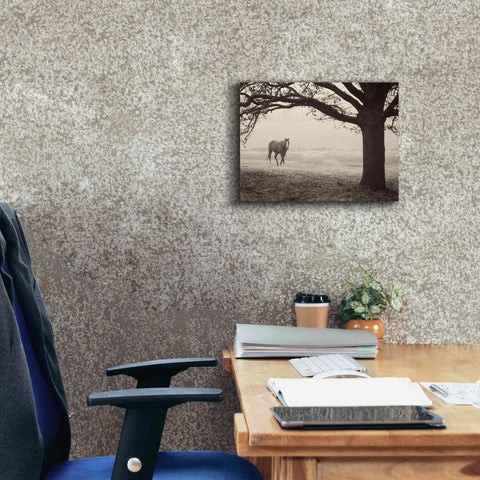 Image of 'Hazy Horse I' by Debra Van Swearingen, Canvas Wall Art,16 x 12