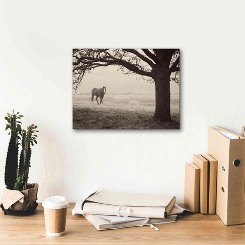 Image of 'Hazy Horse I' by Debra Van Swearingen, Canvas Wall Art,16 x 12