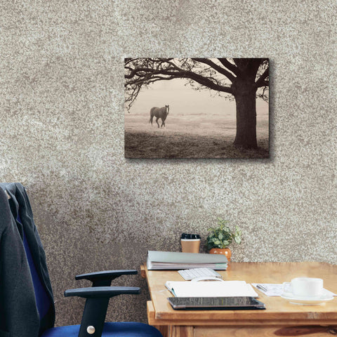 Image of 'Hazy Horse I' by Debra Van Swearingen, Canvas Wall Art,26 x 18