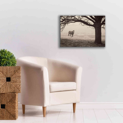 Image of 'Hazy Horse I' by Debra Van Swearingen, Canvas Wall Art,26 x 18