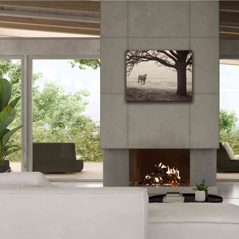 Image of 'Hazy Horse I' by Debra Van Swearingen, Canvas Wall Art,34 x 26