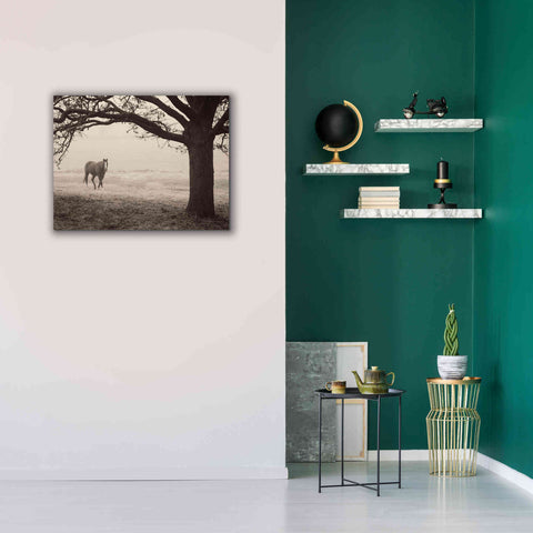 Image of 'Hazy Horse I' by Debra Van Swearingen, Canvas Wall Art,34 x 26