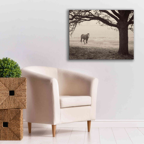 Image of 'Hazy Horse I' by Debra Van Swearingen, Canvas Wall Art,34 x 26