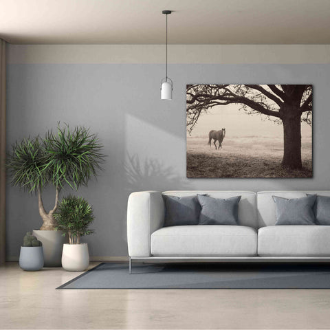 Image of 'Hazy Horse I' by Debra Van Swearingen, Canvas Wall Art,54 x 40