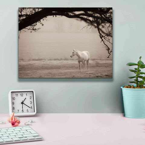 Image of 'Hazy Horse II' by Debra Van Swearingen, Canvas Wall Art,16 x 12