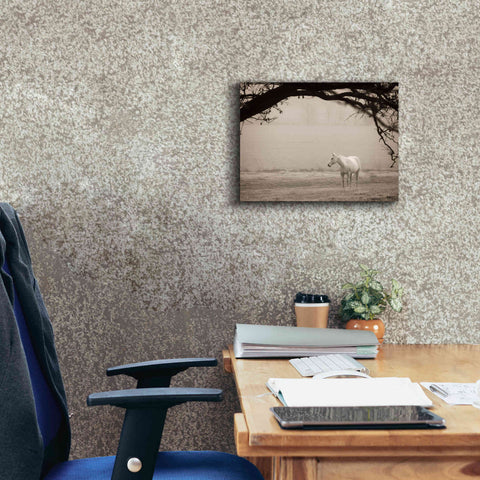 Image of 'Hazy Horse II' by Debra Van Swearingen, Canvas Wall Art,16 x 12