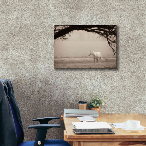 Image of 'Hazy Horse II' by Debra Van Swearingen, Canvas Wall Art,26 x 18