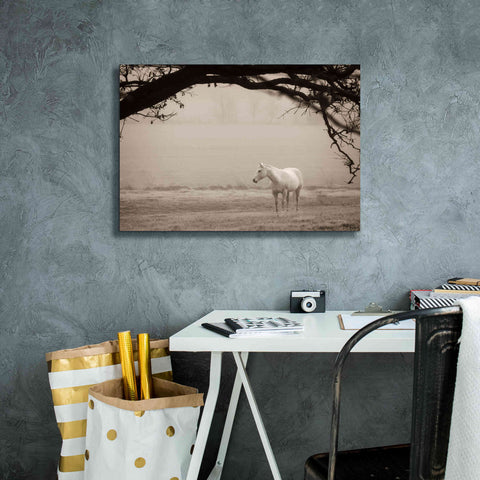 Image of 'Hazy Horse II' by Debra Van Swearingen, Canvas Wall Art,26 x 18