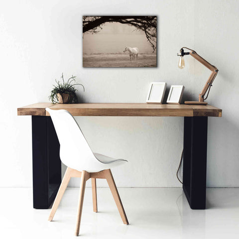 Image of 'Hazy Horse II' by Debra Van Swearingen, Canvas Wall Art,26 x 18