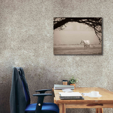 Image of 'Hazy Horse II' by Debra Van Swearingen, Canvas Wall Art,34 x 26