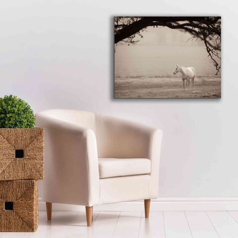 Image of 'Hazy Horse II' by Debra Van Swearingen, Canvas Wall Art,34 x 26