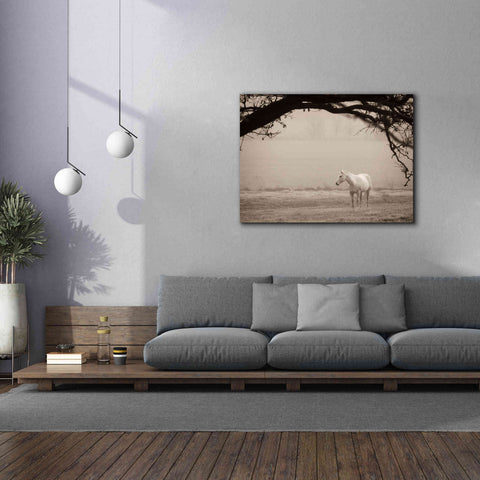 Image of 'Hazy Horse II' by Debra Van Swearingen, Canvas Wall Art,54 x 40