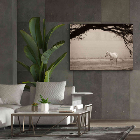 Image of 'Hazy Horse II' by Debra Van Swearingen, Canvas Wall Art,54 x 40