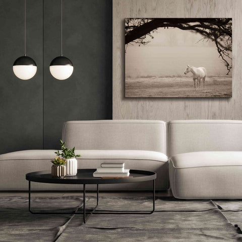 Image of 'Hazy Horse II' by Debra Van Swearingen, Canvas Wall Art,54 x 40