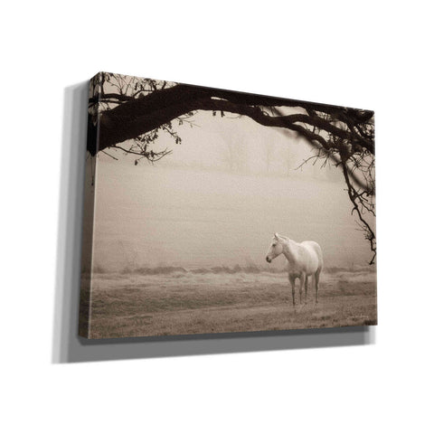 Image of 'Hazy Horse II' by Debra Van Swearingen, Canvas Wall Art,16x12x1.1x0,26x18x1.1x0,34x26x1.74x0,54x40x1.74x0