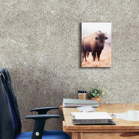 Image of 'American Bison V' by Debra Van Swearingen, Canvas Wall Art,12 x 18