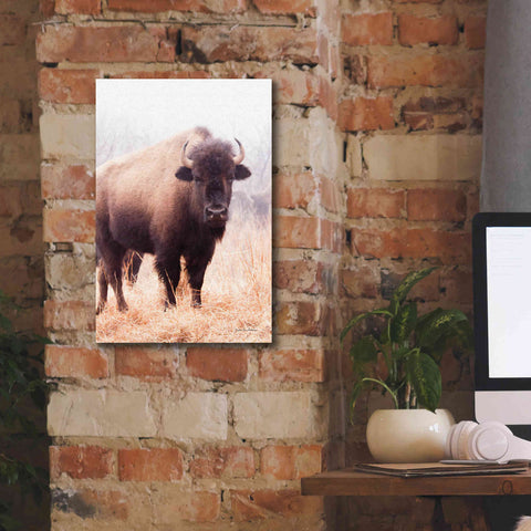 Image of 'American Bison V' by Debra Van Swearingen, Canvas Wall Art,12 x 18
