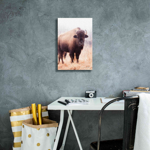 Image of 'American Bison V' by Debra Van Swearingen, Canvas Wall Art,12 x 18