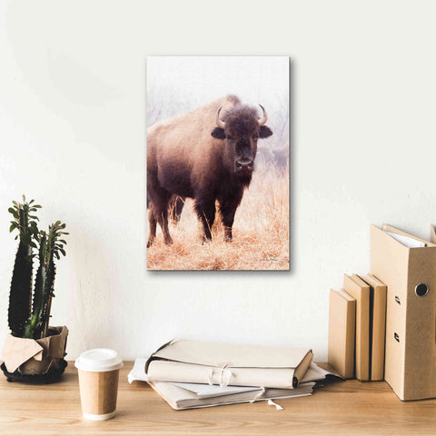 Image of 'American Bison V' by Debra Van Swearingen, Canvas Wall Art,12 x 18