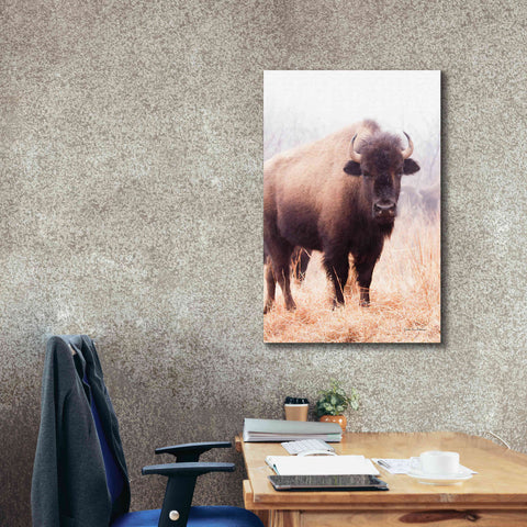 Image of 'American Bison V' by Debra Van Swearingen, Canvas Wall Art,26 x 40