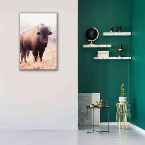 Image of 'American Bison V' by Debra Van Swearingen, Canvas Wall Art,26 x 40