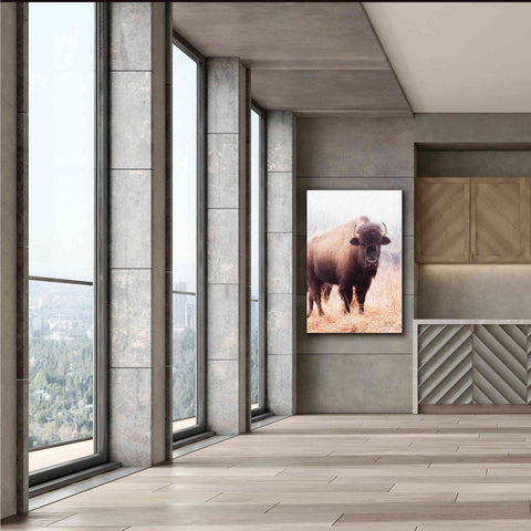 Image of 'American Bison V' by Debra Van Swearingen, Canvas Wall Art,40 x 60
