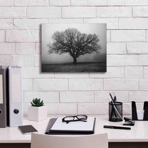 Image of 'Evening Mist' by Debra Van Swearingen, Canvas Wall Art,16 x 12