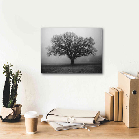 Image of 'Evening Mist' by Debra Van Swearingen, Canvas Wall Art,16 x 12