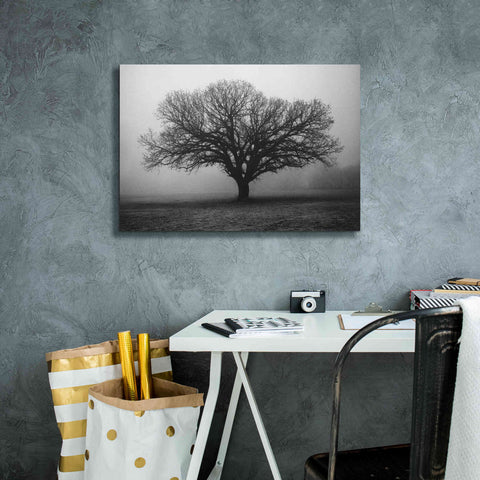 Image of 'Evening Mist' by Debra Van Swearingen, Canvas Wall Art,26 x 18