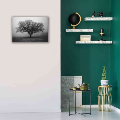 Image of 'Evening Mist' by Debra Van Swearingen, Canvas Wall Art,26 x 18