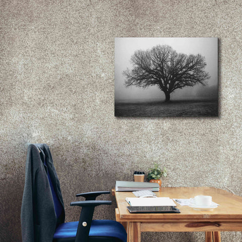 Image of 'Evening Mist' by Debra Van Swearingen, Canvas Wall Art,34 x 26