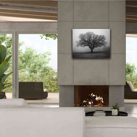 Image of 'Evening Mist' by Debra Van Swearingen, Canvas Wall Art,34 x 26