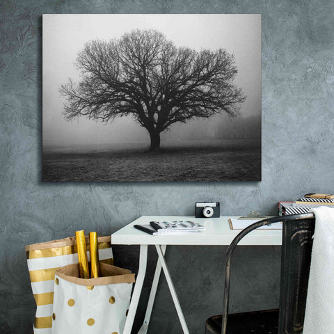 Image of 'Evening Mist' by Debra Van Swearingen, Canvas Wall Art,34 x 26