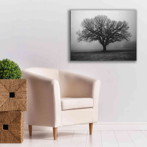 Image of 'Evening Mist' by Debra Van Swearingen, Canvas Wall Art,34 x 26