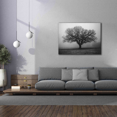 Image of 'Evening Mist' by Debra Van Swearingen, Canvas Wall Art,54 x 40