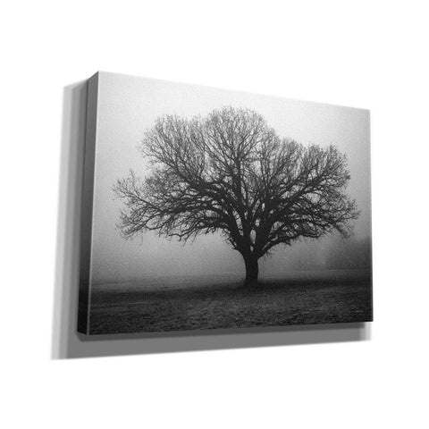 Image of 'Evening Mist' by Debra Van Swearingen, Canvas Wall Art,16x12x1.1x0,26x18x1.1x0,34x26x1.74x0,54x40x1.74x0