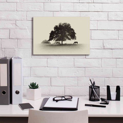 Image of 'Horses and Trees I' by Debra Van Swearingen, Canvas Wall Art,18 x 12