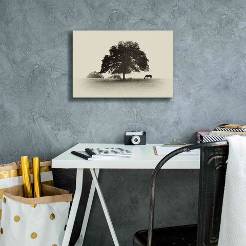 Image of 'Horses and Trees I' by Debra Van Swearingen, Canvas Wall Art,18 x 12