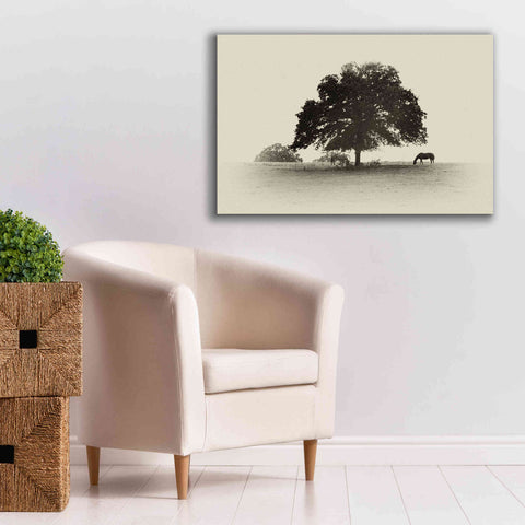 Image of 'Horses and Trees I' by Debra Van Swearingen, Canvas Wall Art,40 x 26