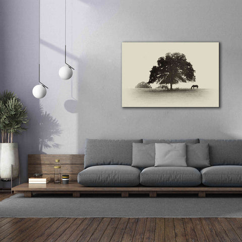 Image of 'Horses and Trees I' by Debra Van Swearingen, Canvas Wall Art,60 x 40