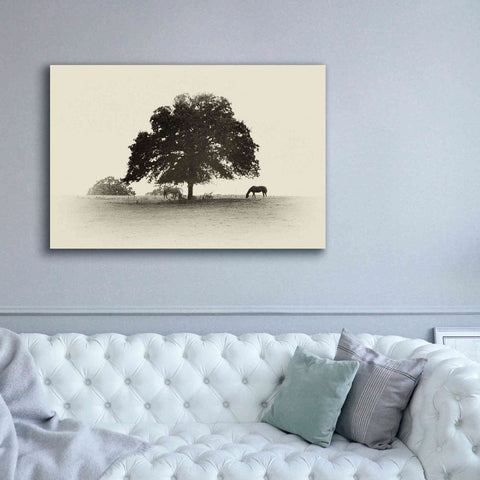 Image of 'Horses and Trees I' by Debra Van Swearingen, Canvas Wall Art,60 x 40