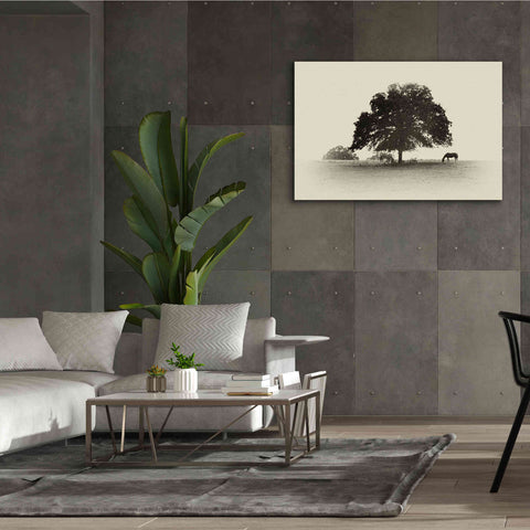 Image of 'Horses and Trees I' by Debra Van Swearingen, Canvas Wall Art,60 x 40