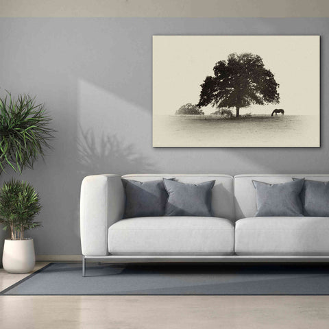 Image of 'Horses and Trees I' by Debra Van Swearingen, Canvas Wall Art,60 x 40