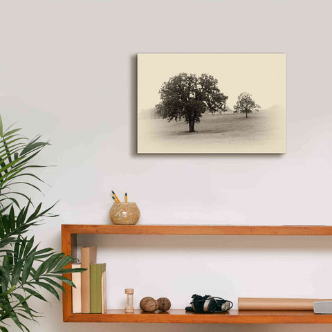 Image of 'Horses and Trees II' by Debra Van Swearingen, Canvas Wall Art,18 x 12