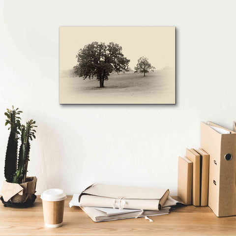 Image of 'Horses and Trees II' by Debra Van Swearingen, Canvas Wall Art,18 x 12