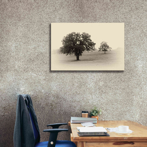 Image of 'Horses and Trees II' by Debra Van Swearingen, Canvas Wall Art,40 x 26
