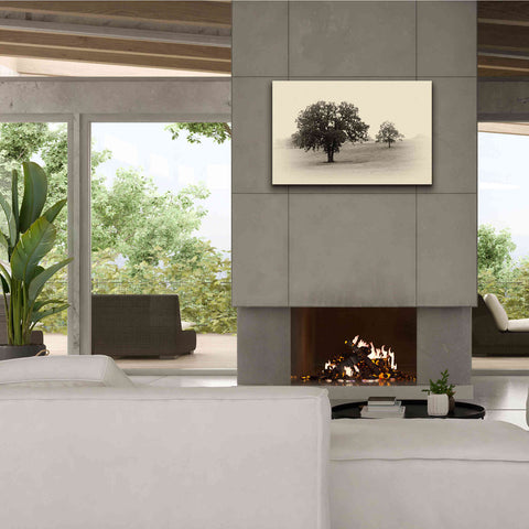 Image of 'Horses and Trees II' by Debra Van Swearingen, Canvas Wall Art,40 x 26