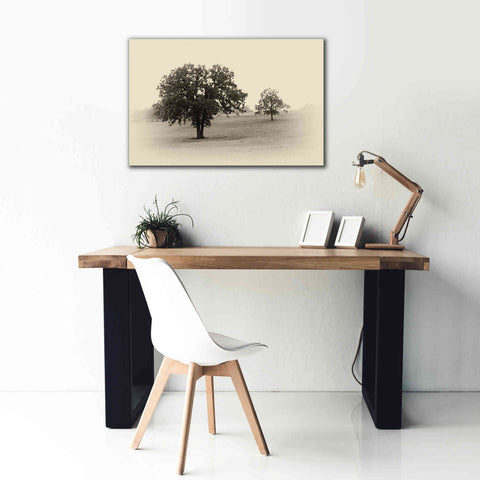 Image of 'Horses and Trees II' by Debra Van Swearingen, Canvas Wall Art,40 x 26