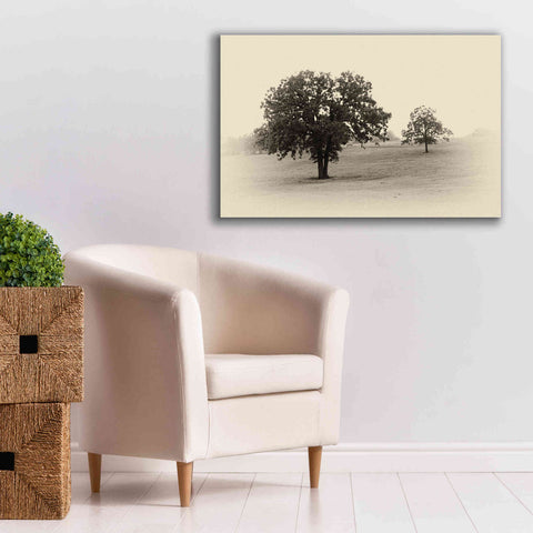 Image of 'Horses and Trees II' by Debra Van Swearingen, Canvas Wall Art,40 x 26