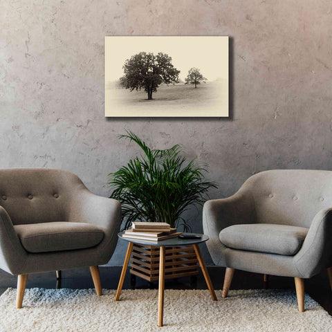 Image of 'Horses and Trees II' by Debra Van Swearingen, Canvas Wall Art,40 x 26